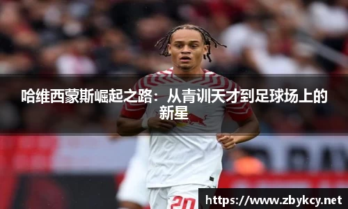 星空·综合体育